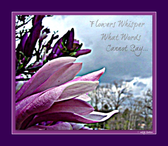 Flower A - tranquility.web
